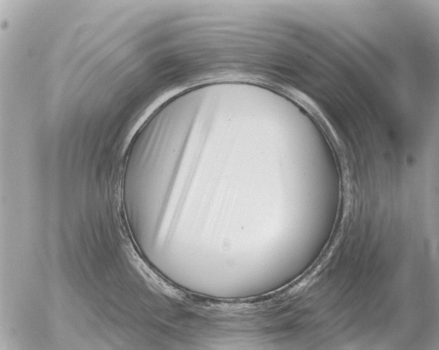 X0000054441244200508270004