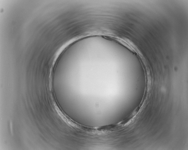 X0000054441246200508270004