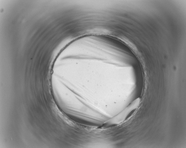 X0000054441248200508270005