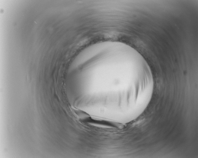 X0000054441249200508270004