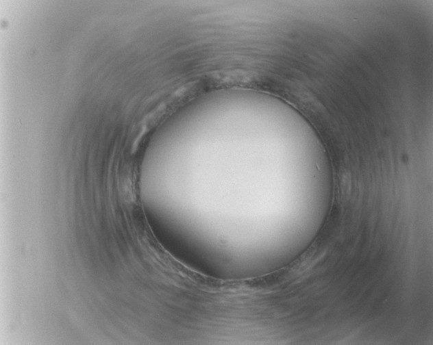 X0000054441250200508270004