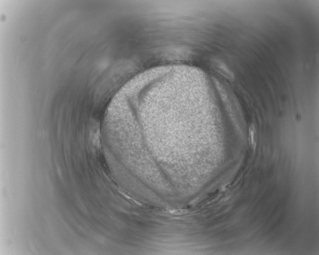 X0000054441251200508270004