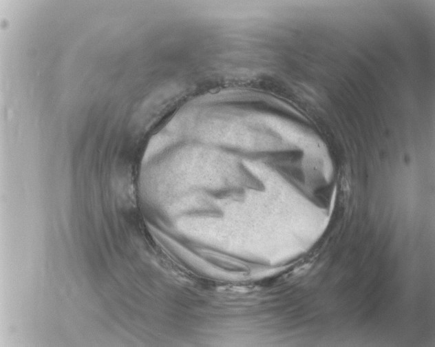 X0000054441252200508270004