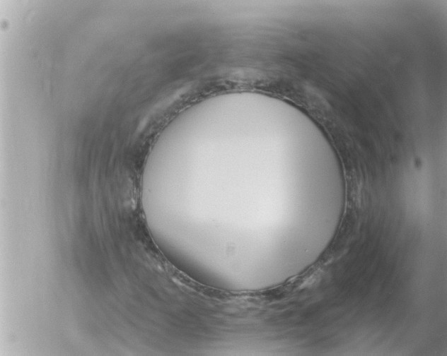 X0000054441253200508270004