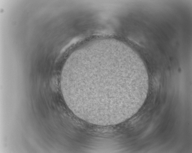 X0000054441254200508270004