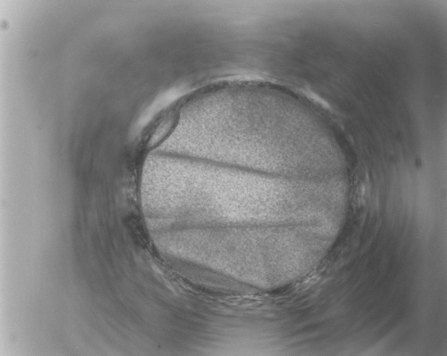 X0000054441255200508270004