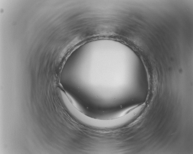 X0000054441257200508270004