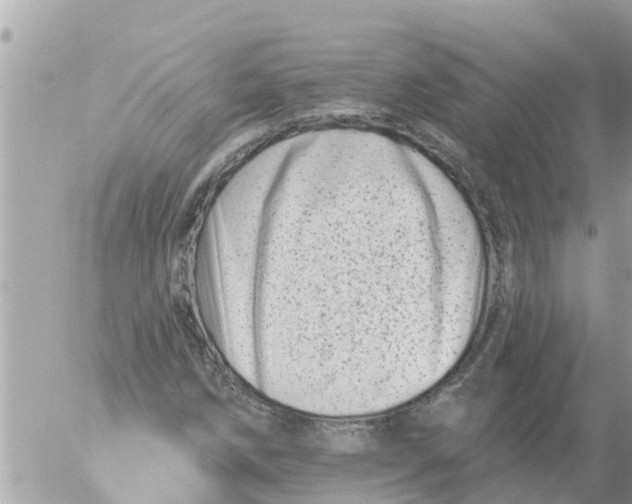 X0000054441258200508270004