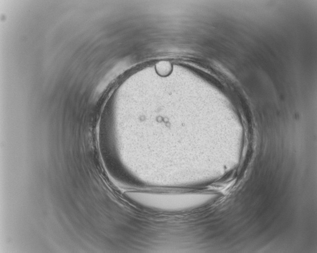 X0000054441259200508270004