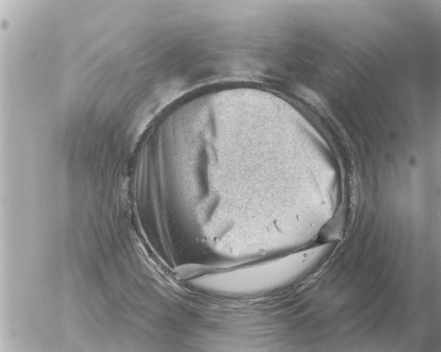 X0000054441260200508270004