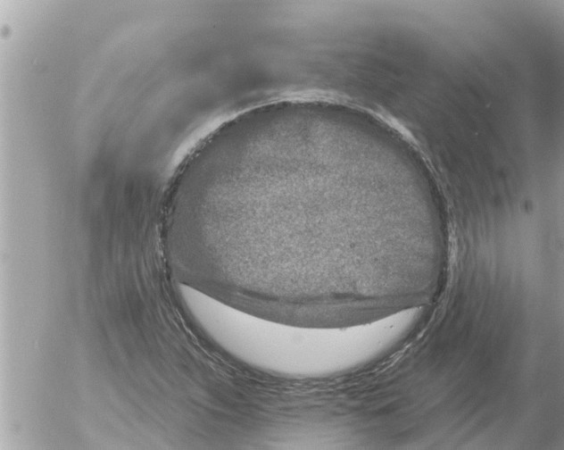 X0000054441263200508270003