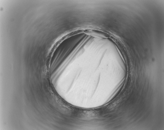 X0000054441264200508270003