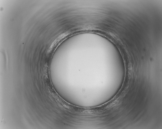 X0000054441265200508270003