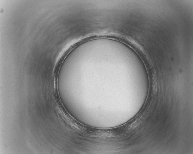 X0000054441270200508270003