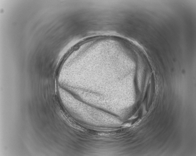 X0000054441271200508270003