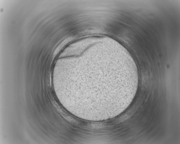 X0000054441274200508270003