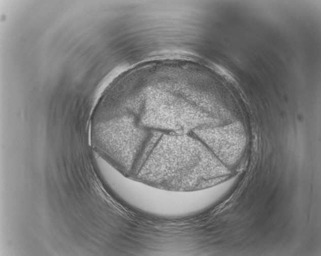 X0000054441275200508270003