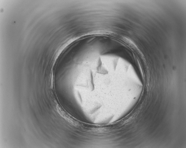 X0000054441276200508270003