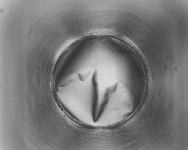 X0000054441277200508270003