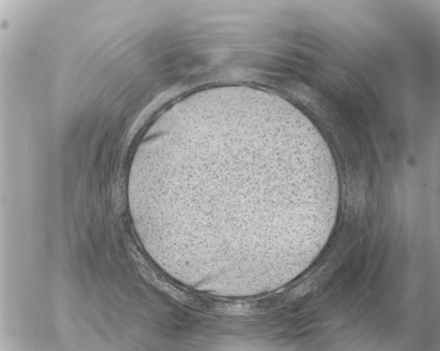 X0000054441278200508270003