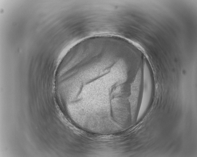 X0000054441279200508270003