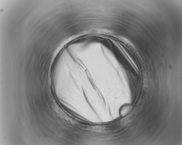 X0000054441280200508270003