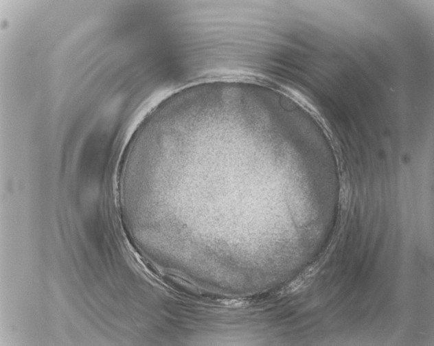 X0000054441283200508270003