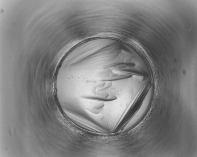 X0000054441284200508270003