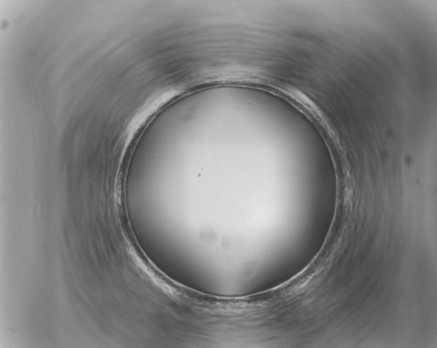 X0000054441285200508270003