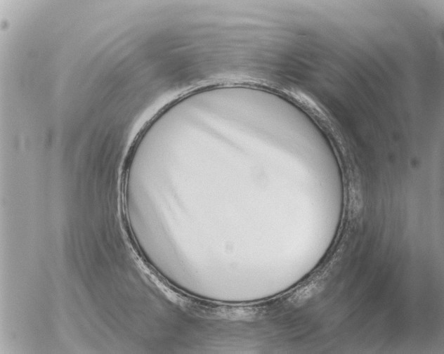 X0000054441286200508270003