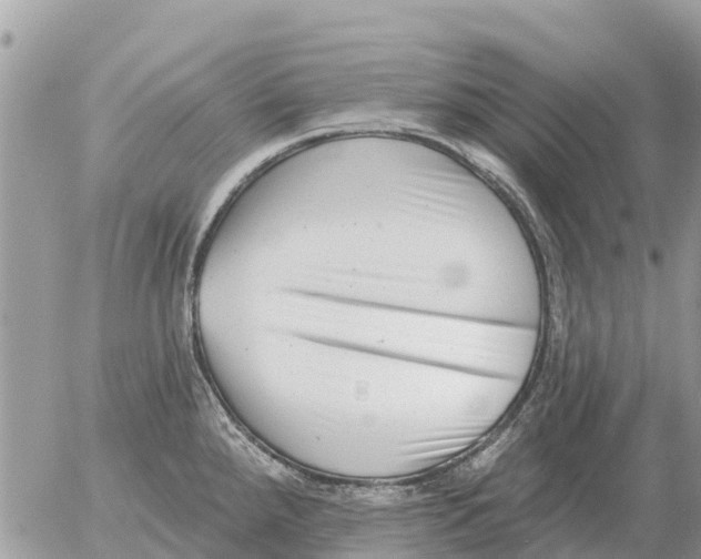 X0000054441288200508270003