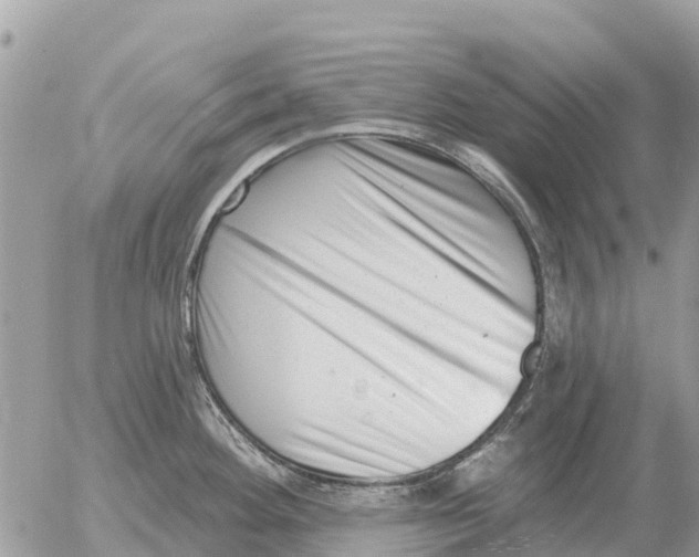 X0000054441292200508270003