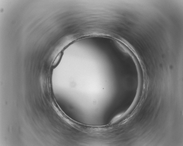 X0000054441293200508270003