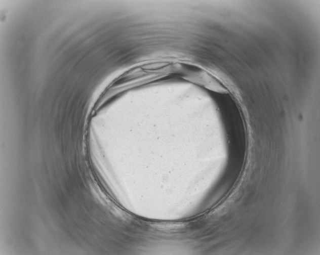 X0000054441296200508270003