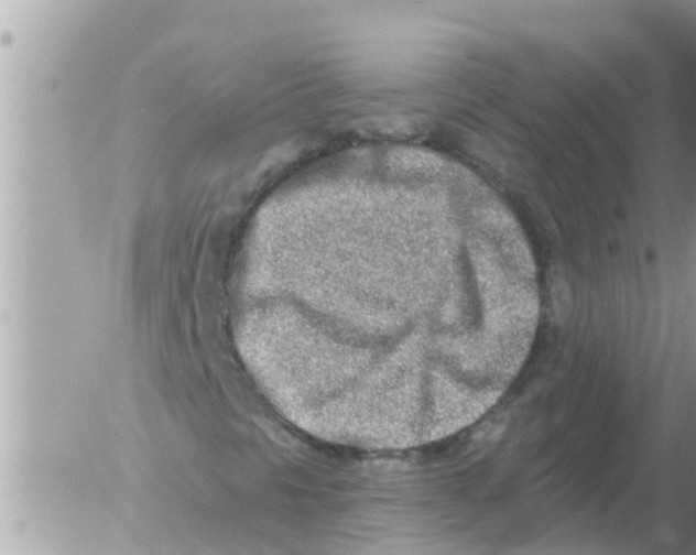 X0000054441297200508270002