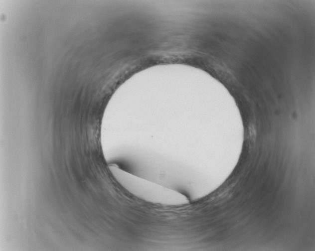 X0000054441300200508270002