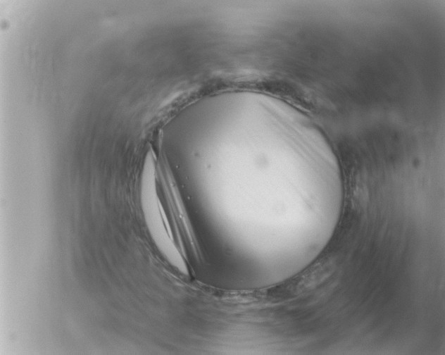 X0000054441301200508270002