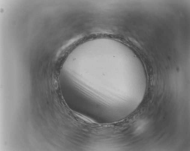 X0000054441303200508270002