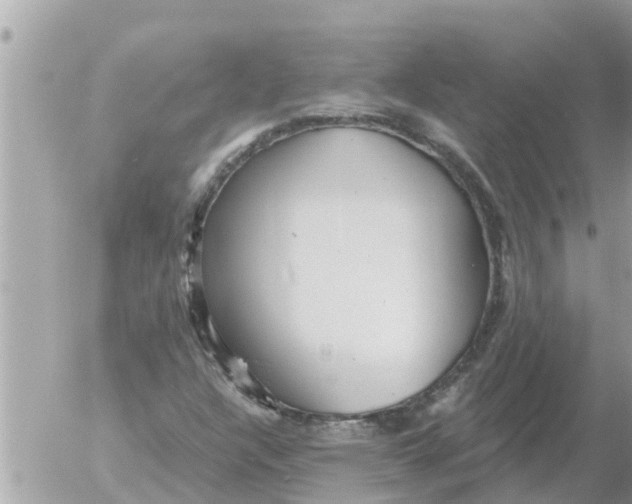 X0000054441304200508270002