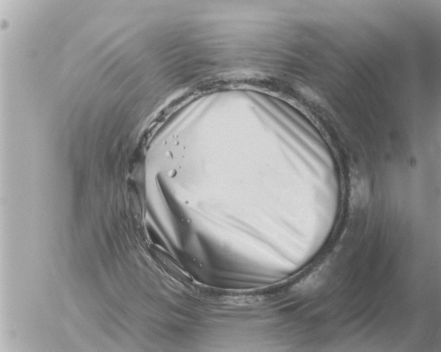 X0000054441305200508270002