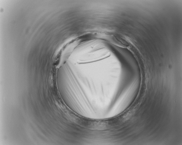 X0000054441307200508270002