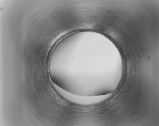 X0000054441308200508270002