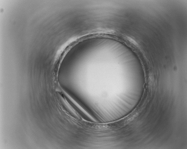 X0000054441310200508270002