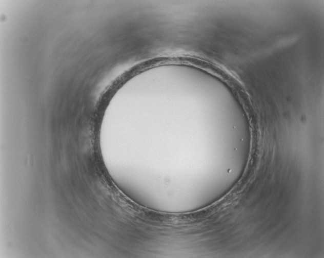 X0000054441311200508270002