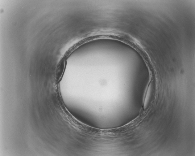 X0000054441312200508270002