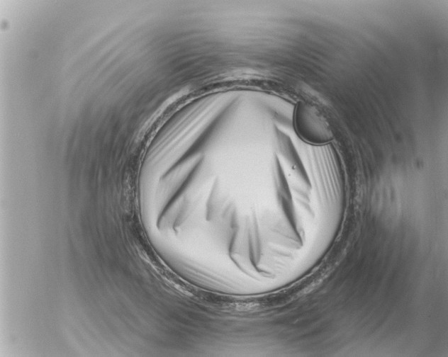 X0000054441313200508270002