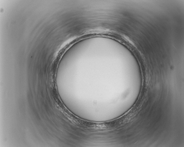 X0000054441315200508270002