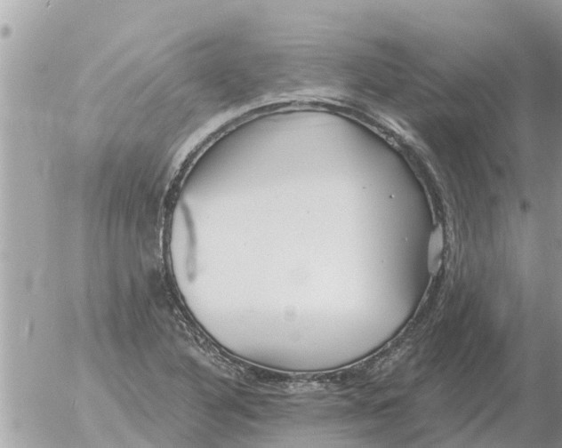 X0000054441316200508270002