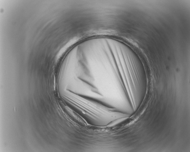 X0000054441317200508270003