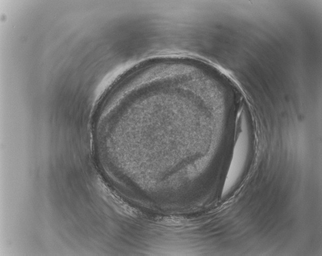 X0000054441319200508270003